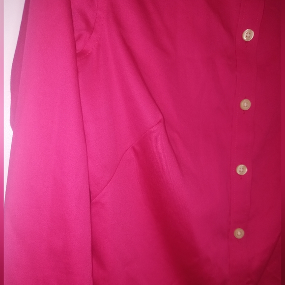 🍁 Banana Republic Hot Pink Long Sleeve  Button-Up Blouse shirt Size: 0P - Picture 4 of 8